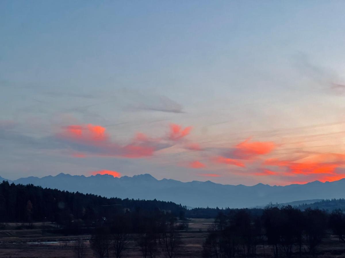Corna Owca * Nowy Targ